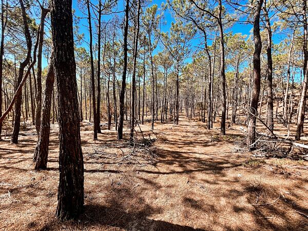 jedna-z-nejkrasnejsich-dalkovych-tras-fishermans-trail-34
